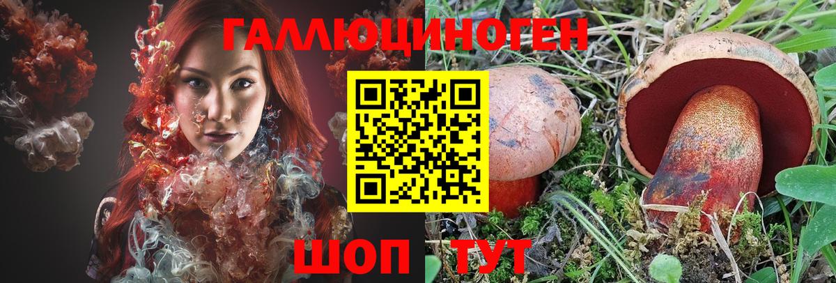 Советск  Псилоцибиновые грибы мухоморы  Вход с VPN 
